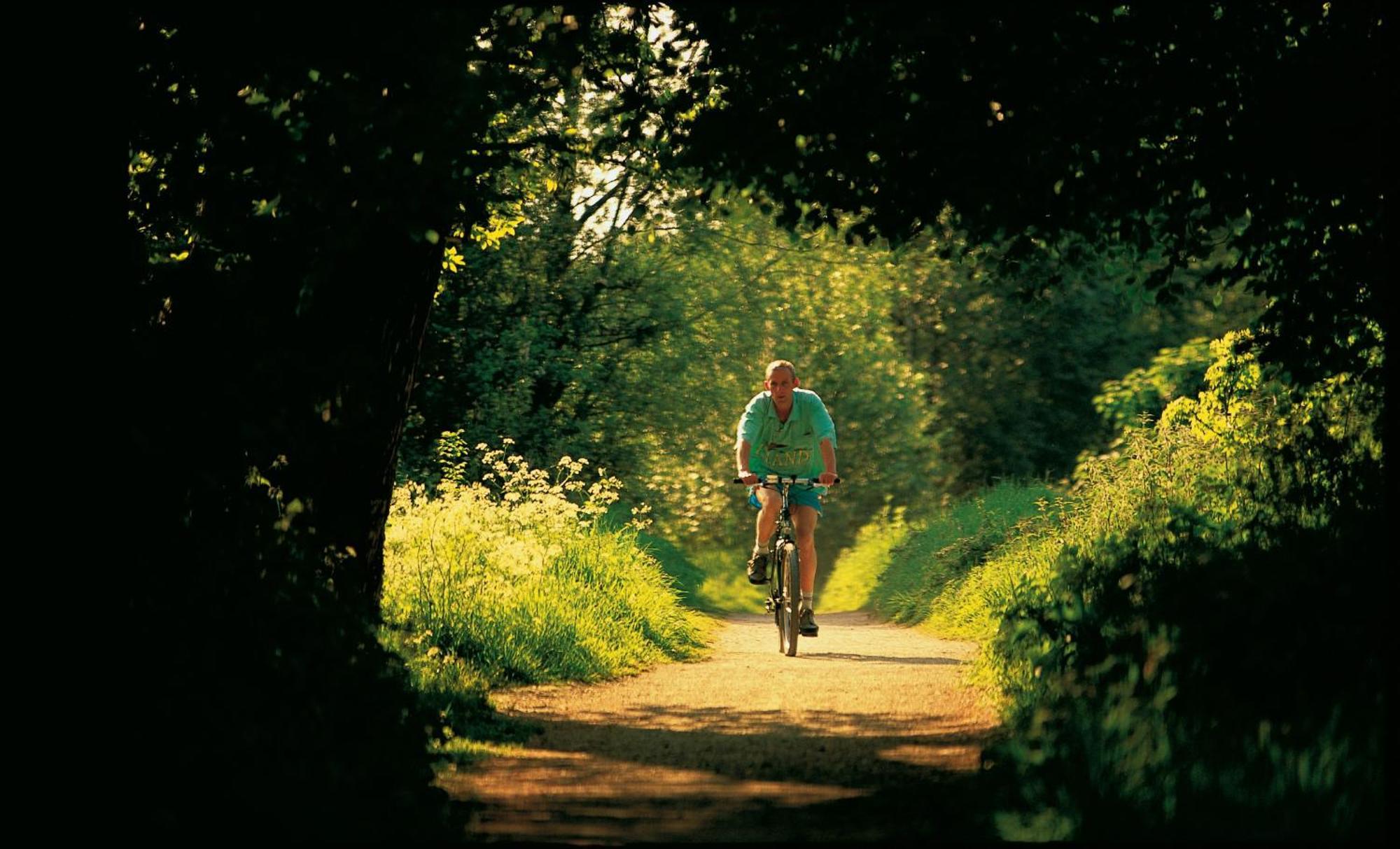 Dromroe Village University Of Limerick Junction Zewnętrze zdjęcie